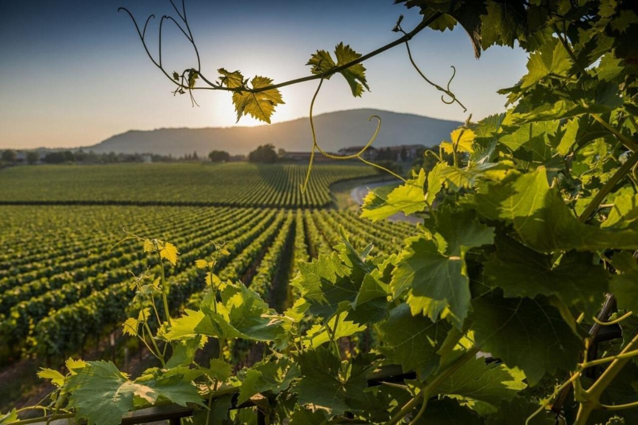 شقة Casaviva - Grazioso Bilocale In Franciacorta Cazzago San Martino المظهر الخارجي الصورة